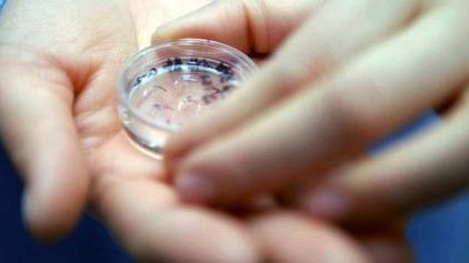 昆明三大助孕公司，附排名榜单！