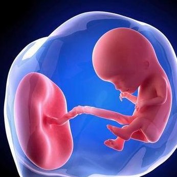 2026徐州三大助孕公司是哪些？附机构最新排名