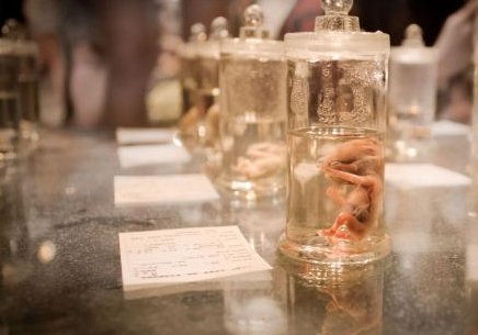 江苏无锡助孕公司前3名介绍，无锡助孕机构排名前三及简要介绍