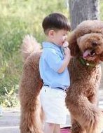 助孕卵巢amh1.1可以做试管吗(什么情况可以选择试管助孕)