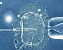 2026年卵巢早衰去贵州省妇幼做三代试管的费用高吗？明细是怎么样的？