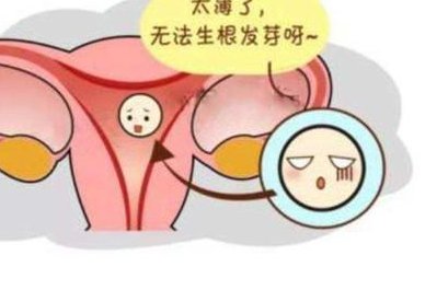 试管囊胚人工周期孕周计算，精确了解孕期起点与进程